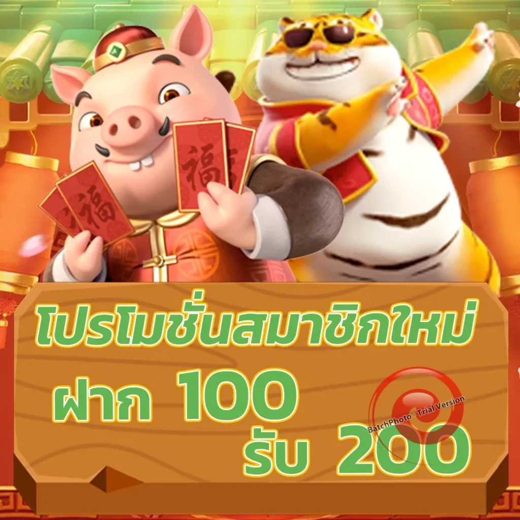 omg555 club
